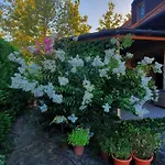 Toparti -
