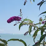 וילה Toparti - *