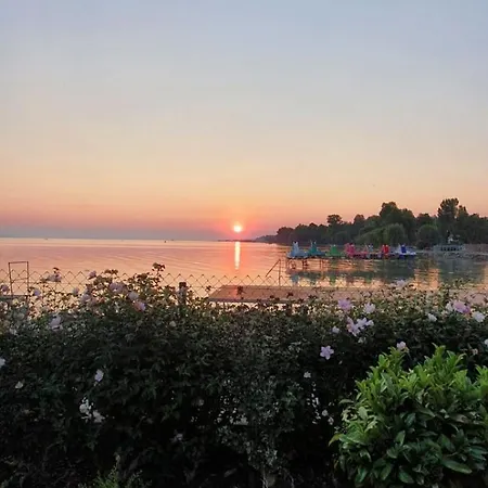 Toparti -
