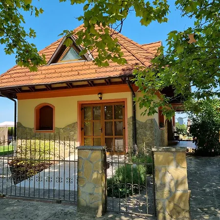 Toparti -