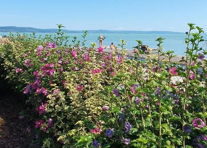 Toparti - * Balatonboglár